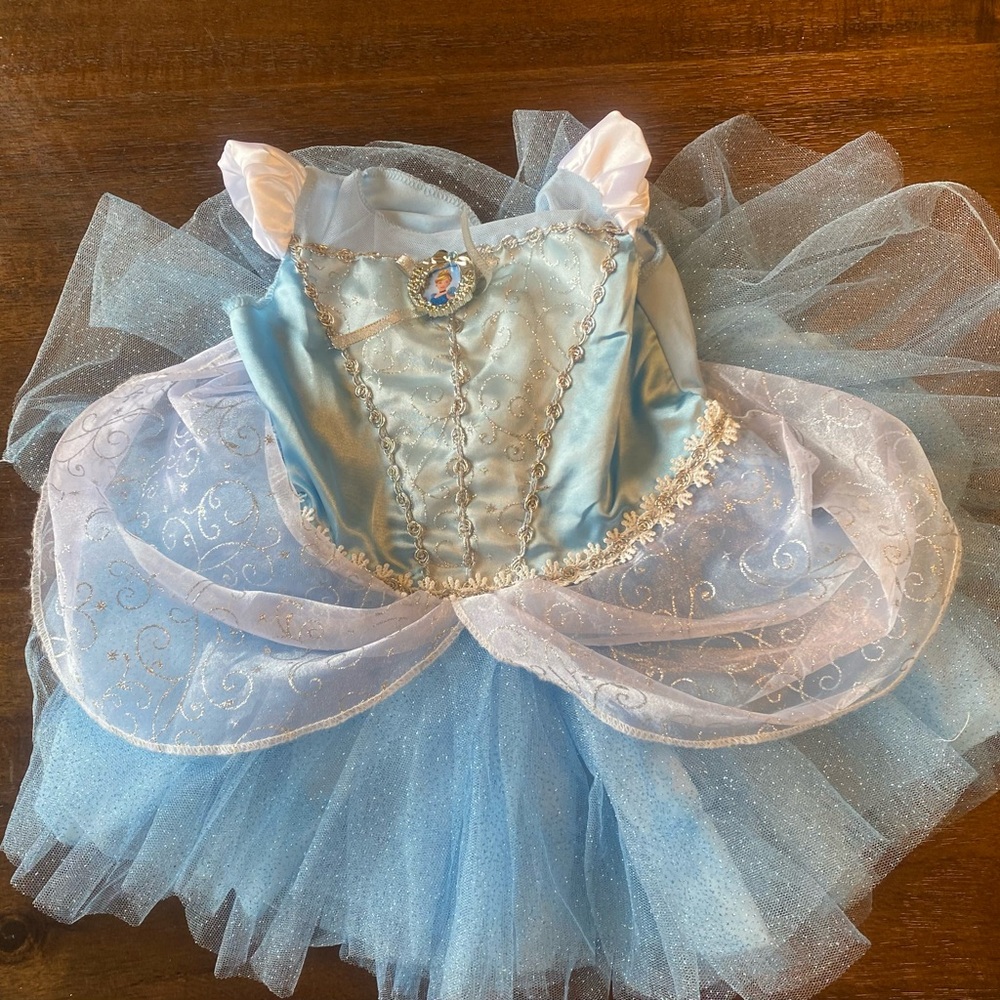 Disney Baby Cinderella Dress